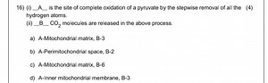 16) (i) __  _ is the site of complete oxidation of a pyruvate b... | Filo