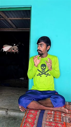 🤫🦟🤪😭🍭Little Bro Can't Sleep Because of This Crazy Mosquito!#shortssdf