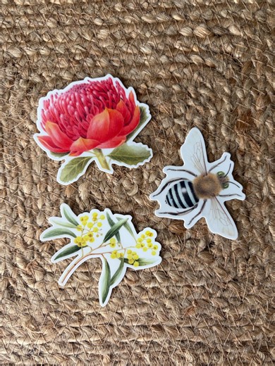 Australian Native Stickers, Waratah, Wattle, Blue Banded Bee, Set of 3 Stickers - Etsy Australia