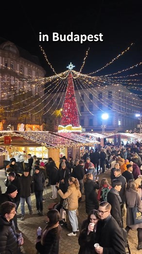 Stuffed Cabbage Adventures | The most popular Christmas Markets opened in Budapest, so we visited the one in front of the St Stephens Basilica, to check the prices, the... | Instagram