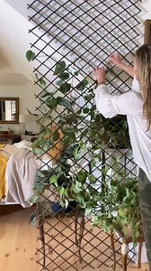 8.7K views · 62 reactions | Planterina on Reels | Facebook