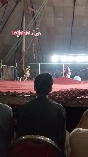 Festival Celebrations in Rajasthan: A Cultural Insight