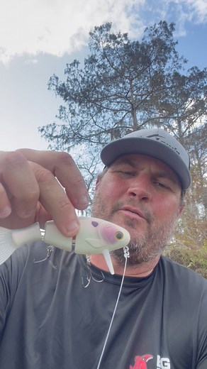 Bucca Brand 5” Bull Shad and Bull Wake available now #cajunbabyfishing #bucca #buccabrand #bullshad | Cliff Crochet