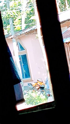 Samsung S24 Ultra vs Vivo V40 Pro50x Zoom Test#s24ultra#vivov40pro#comparison#shotrs