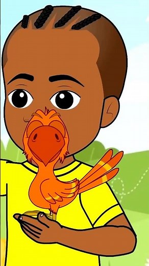 The Enchanting World of Colors