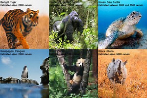 Photos of Endangered Species Where Every Pixel Represents One Animal