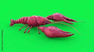 Crayfish Green Screen Walkcycle Loop 3D Rendering Animation 4K