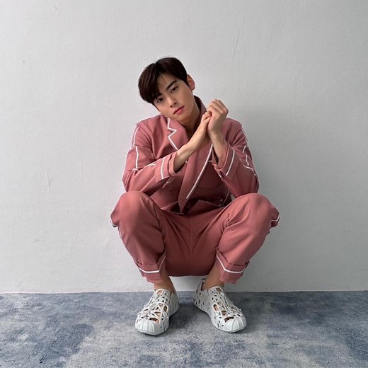 Cha Eun-woo's net worth: A look at the wealth of Korea's '1 in a million' star