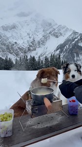 추워질수록 스위스 퐁듀 땡기는 편 🐶🧀🐶🧀 📍 Adelboden 📷 https://www.instagram.com/swiss.paws #스위스와사랑에빠지다 #inLOVEwithSWITZERLAND #IneedSwitzerland | Switzerland