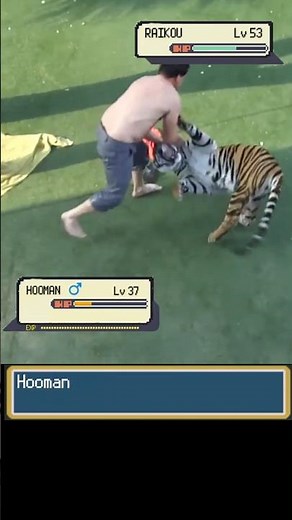 Real Life POKEMON Battle against a Human, Raikou Spotted #pokemon #pokemonbattle #pokémon #animals