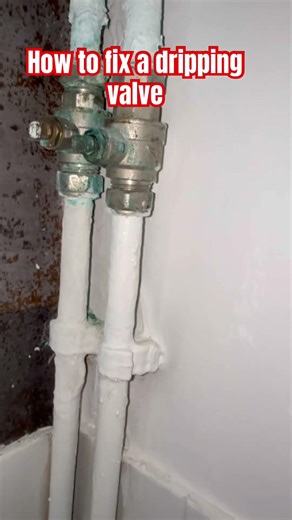 How To Fix A Dripping Valve. Leaking isolation valve #plumbing #diy #leak #money
