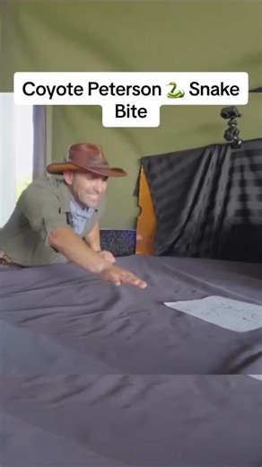 #stitch with @Brave Wilderness coyote Peterson gets bit by a snake ##bravewilderness##coyotepeterson##animals##snake##reaction##fypage