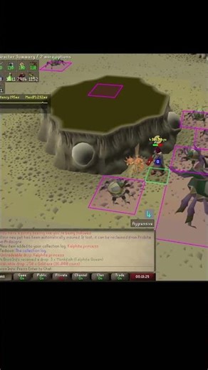 Kalphite Princess Pet at 419 KC