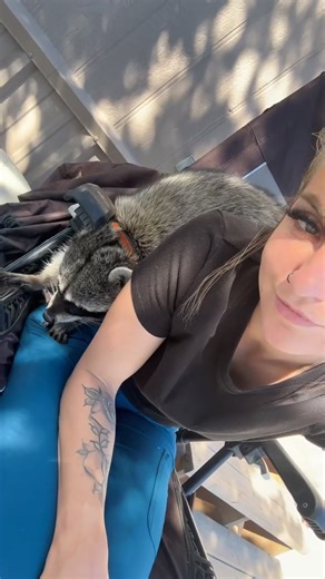 Grateful for My Baby Raccoon