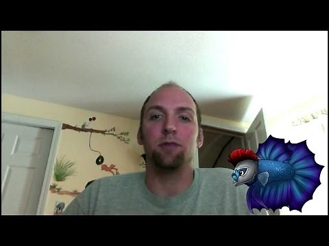 How to Breed Discus/ Raising Discus Fry