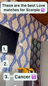 These are the best love matches for Scorpio ♏️ | Zodaic astro insightful