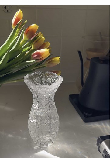 Cure Seasonal Depression with Tulip Gardening