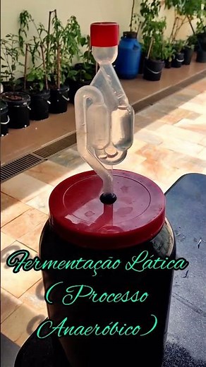 How does an airlock valve work in fermentation?