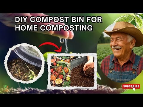 How to Recycle Kitchen Scraps to Compost | DIY Compost Bin for Home Composting