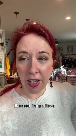 Why - why did you have to say skybird like it’s a real thing? #wicked #musicals #broadway #wickedforgood #stephenschwartz