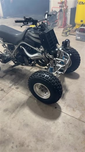 Just look at this beautiful banshee black