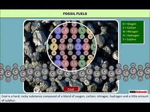 Coal and Petroleum | Coal | Class 8