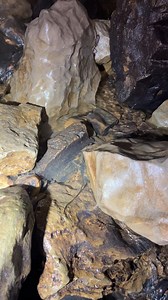 These crayfish spend their lives in darkness #cave #crayfish #reels | Wes Sims