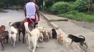 7.3K views · 117 reactions | No one messes with his pack! | PetBox | Facebook