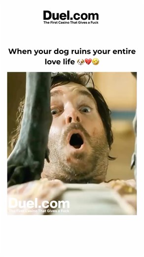 Movies | Series | Reels on Instagram: "Was the dog right to take revenge? 🎥 Stray (2020) – A powerful documentary set in Istanbul that follows Zeytin, Nazar, and Kartal, three stray dogs navigating the busy streets of Turkey. With no narration and no filters, the film captures raw moments of survival, freedom, and companionship as these dogs interact with people and each other. A moving exploration of life, resilience, and humanity told through the perspective of man’s best friend. If you love 