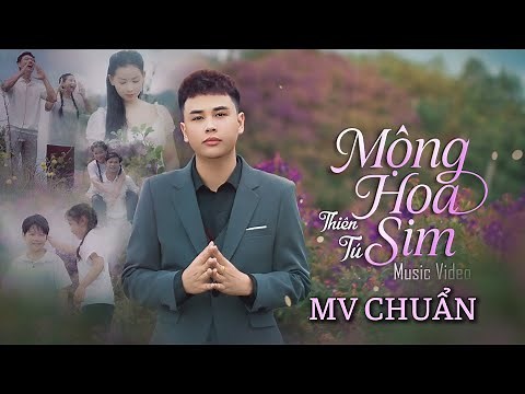 MỘNG HOA SIM | THIÊN TÚ | NEW VERSION 2025 | MV Chính Thức| Cả Một Trời Thương Nhớ Quay Về