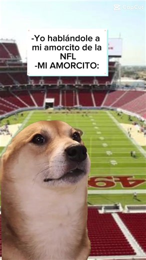 Amorcito hazme caso 😂😂😂 #NFL #playoffs #touchdown #dog | Rudeza al Pasador