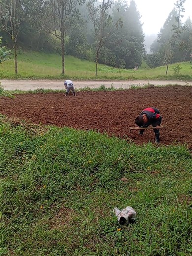 Coplas Cajamarquinas: Carnaval y Romance