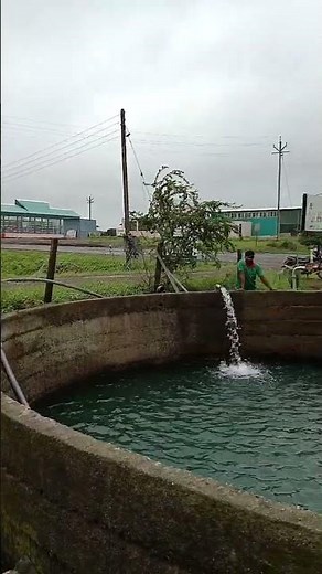 3 hp Ecozen LnT Solar Pump