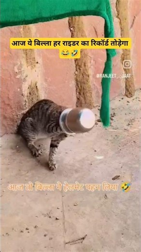 rider billaa with steel halmate 😂🐈‍⬛#funny #shorts