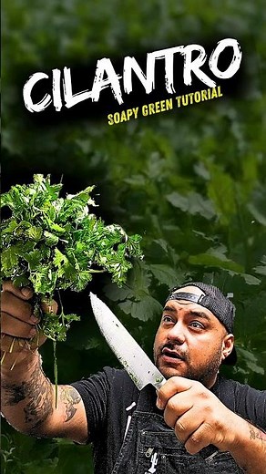 Fastest and Easiest Way To Chop Cilantro.