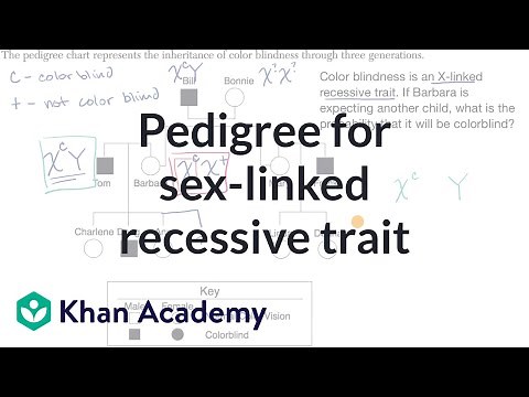 Pedigree for determining probability of exhibiting sex linked recessive trait | Khan Academy