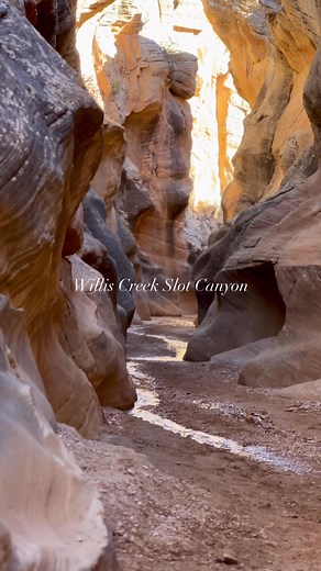 Here is another Utah hidden Gem! You don’t have to hike miles to find magic in Utah. Willis Creek winds quietly through golden rock walls, carving its path one curve at a time. Shallow water, soft light, and silence that feels ancient. This place pulls you in without trying. Ever been somewhere that made you slow down just to take it all in? #Utah #southernutah #WillisCreek #slotcanyon | Where The Road Wanders