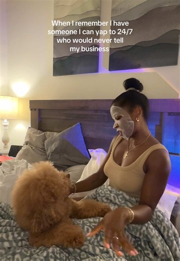 The Joys of Mini Poodles: Your 24/7 Therapy Buddy