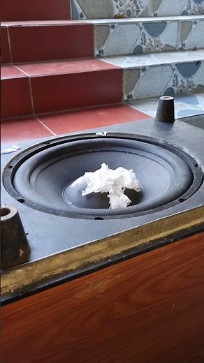 Deep Bass Demo! Bose 12-Inch Subwoofer Sound Test in a 323 Sq Ft Room #nghia #automobile #basstest