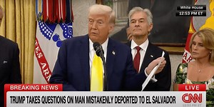 CNN fact checker cuts Trump off as he launches into 'little biography' of jailed immigrant