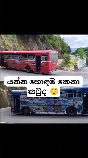 😒 CTB සහ Private #travel #automobile #bus #busrace #music #trending #driving #shortsfeed #shorts