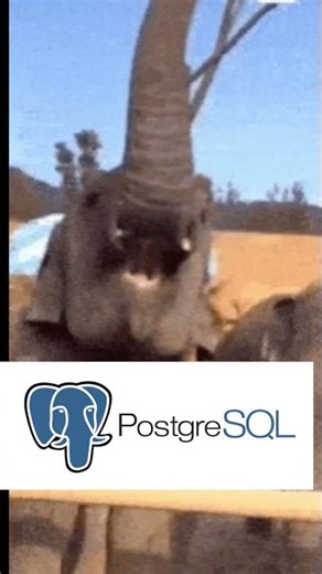 Why Python, Pandas named on Animals !! #dataanalysis