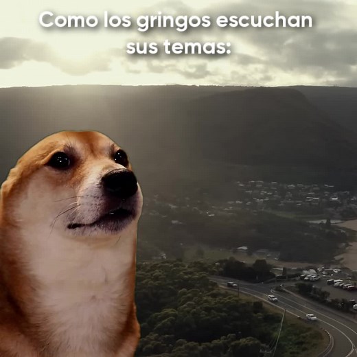 Cómo los GRINGOS escuchan Regulate en español
