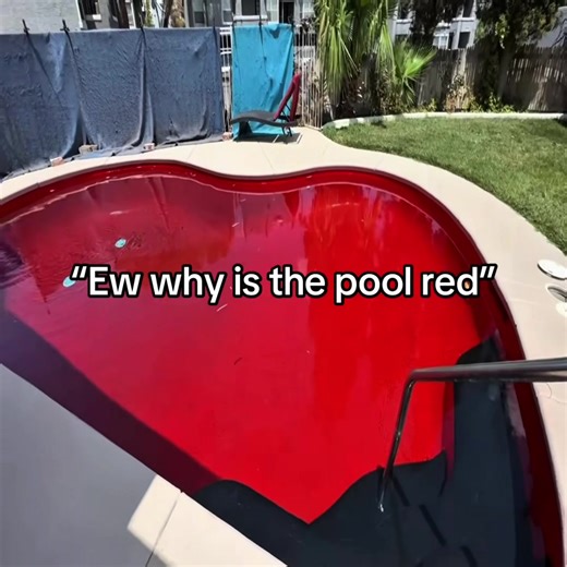 Had to hop on this trend #fyp #viral #catwoman #giorgioarmani #real | cat woman