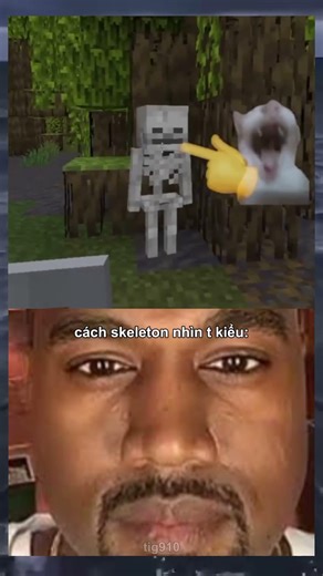 skeleton minecraft #minecraft #memes #fyp #viral