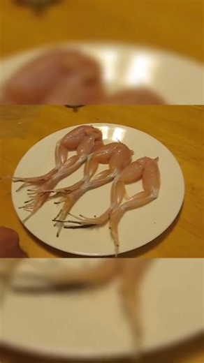 1.7K reactions · 112 shares | Dead Meat Caught Moving  #deadmeat #caught #moving #reelsinstagram #trendingreels #viral #viralvideos #fyp #reels #jesterfactsofficial #fypシ #interestingfacts #animals | Jesterfacts | Facebook