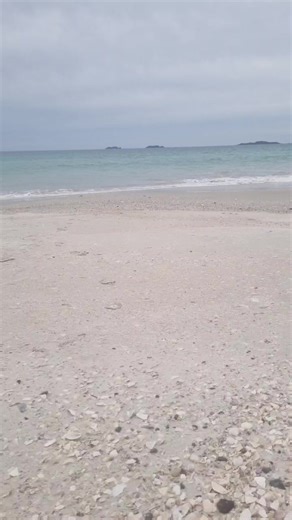 Neil Morrison on Reels