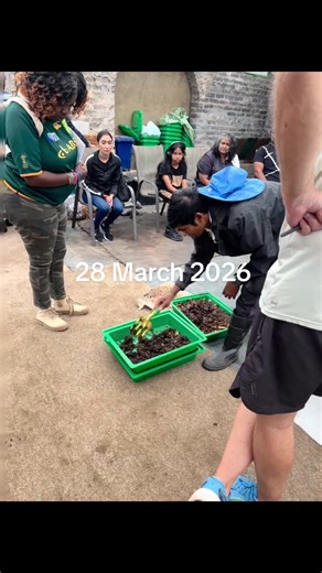 Essential Guide to Vermicomposting Techniques