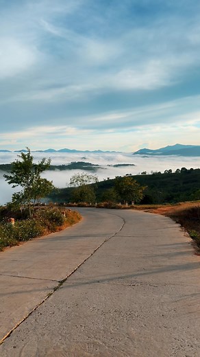 Homestay Mộc Tra Farm Đà Lạt — con đường và khu vườn trên mây