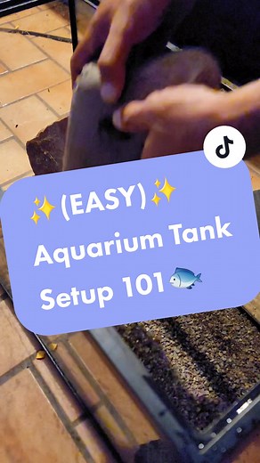 ✨️(EASY)✨️\nAquarium Tank\nSetup 101🐟